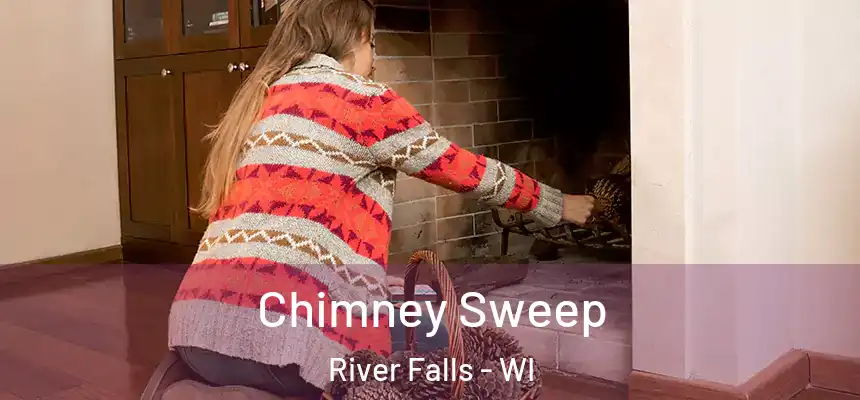  Chimney Sweep River Falls - WI
