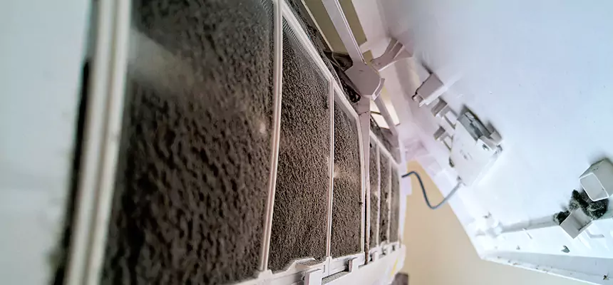 Preventive Air Duct Bacteria Removal in River Falls