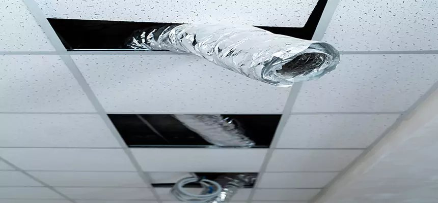 Affordable HVAC Sanitizing After Pest Removal in River Falls