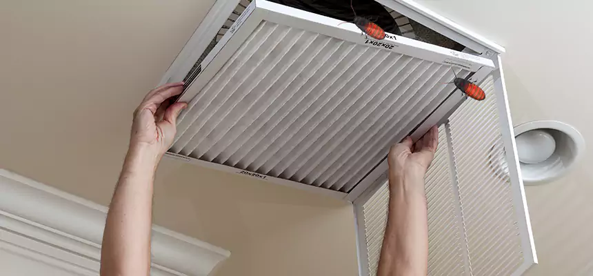 Our Insect Removal from Air Ducts Services in River Falls, WI