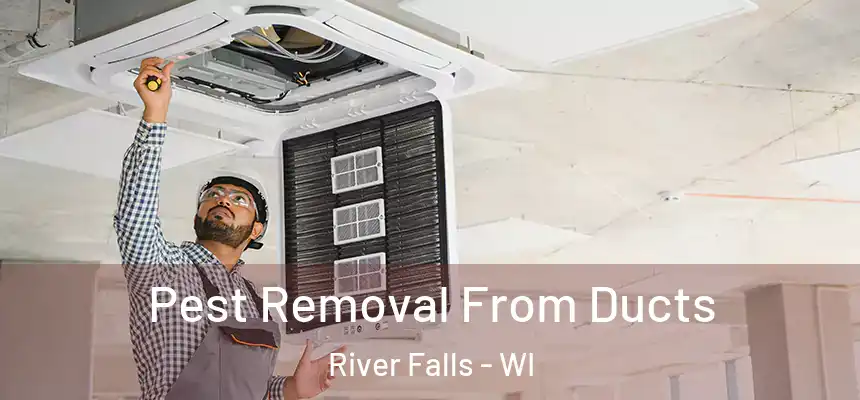  Pest Removal From Ducts River Falls - WI