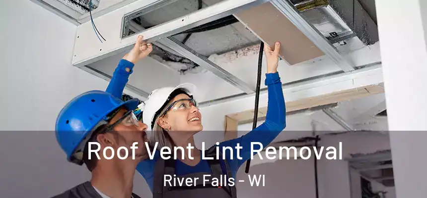  Roof Vent Lint Removal River Falls - WI