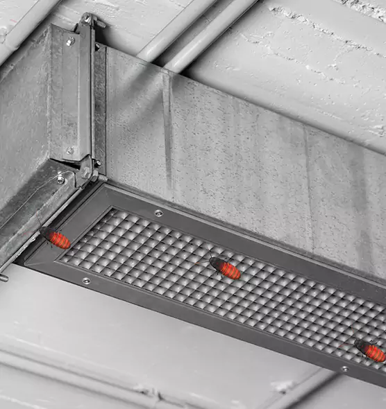 About Air Duct Cockroach Removal in River Falls, WI