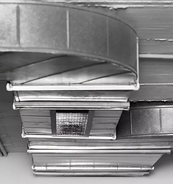 Professional Air Duct Pest Removal in River Falls, WI