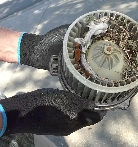 About Air Duct Rat Removal in River Falls, WI