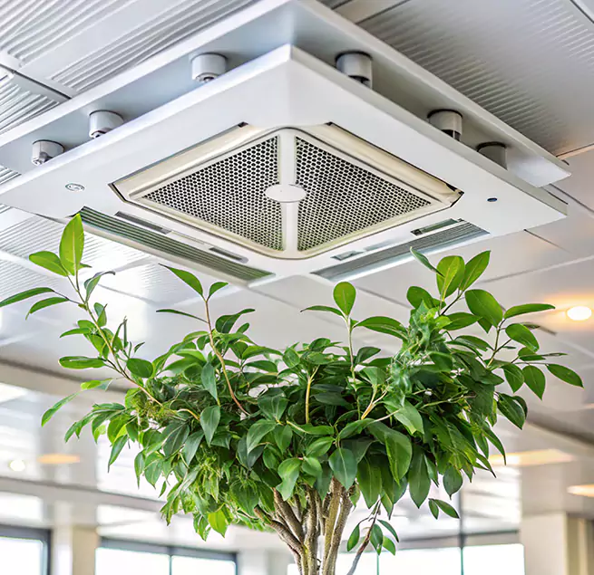 Why Homeowners & Businesses Trust Us in River Falls, WI?